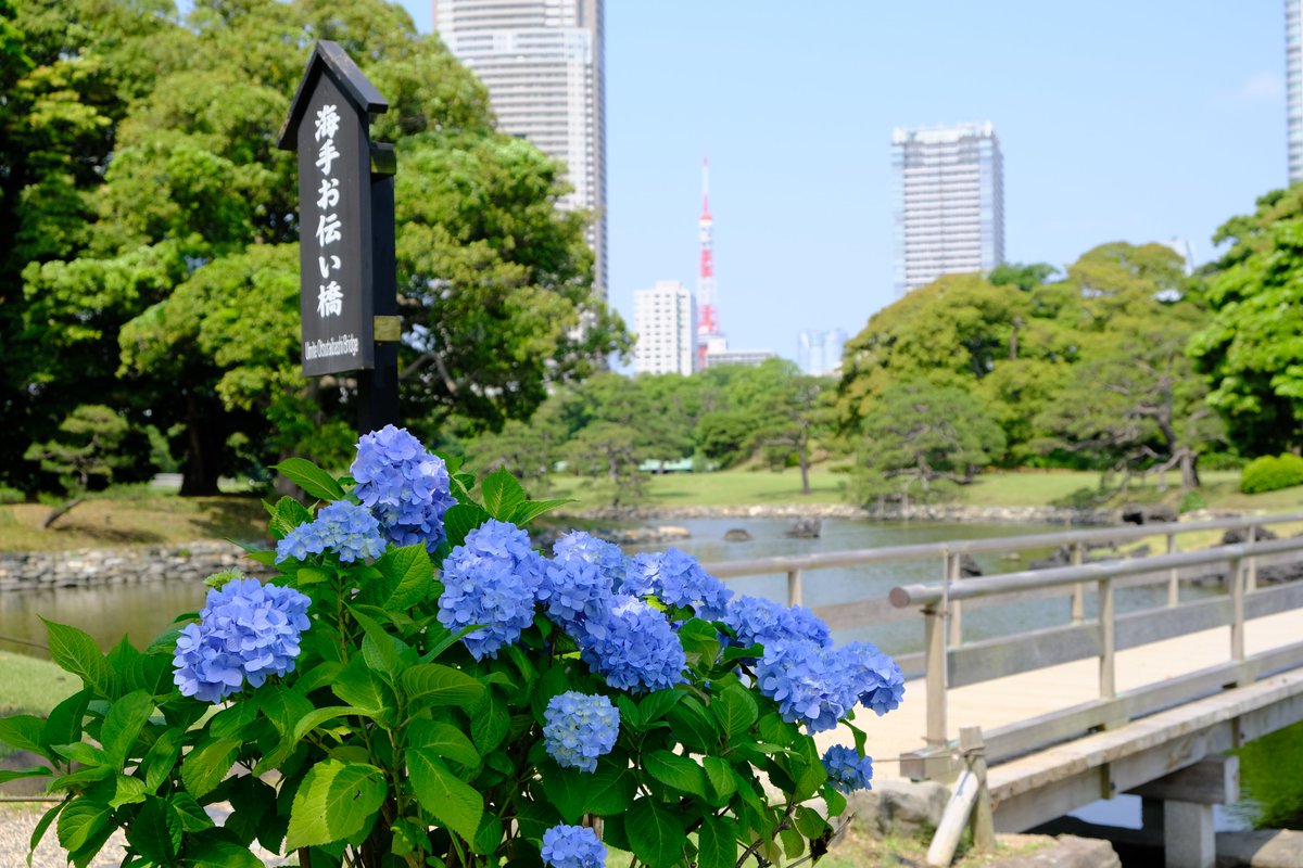 浜離宮恩賜庭園 Hamarikyugarden Twitter