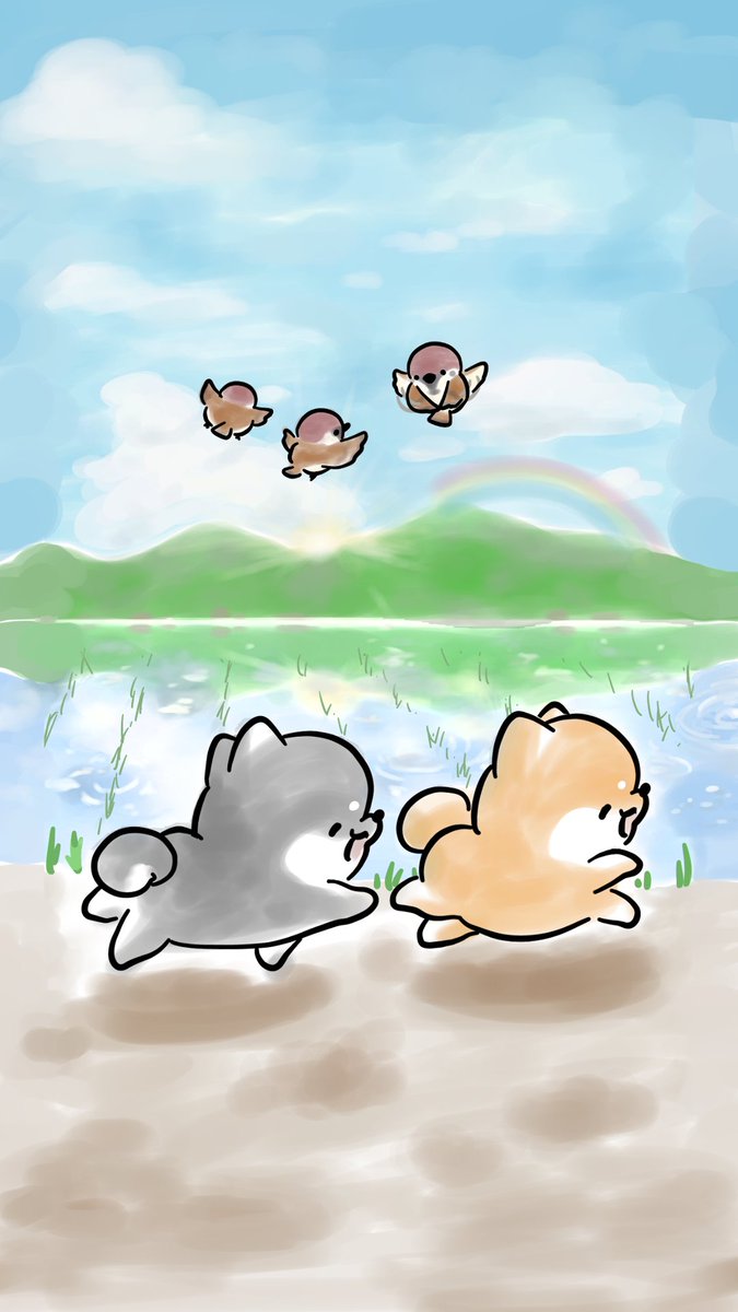 ほんわかしばいぬ Honwakashibainu Twitter ほんわかしばいぬ Honwakashibainu Twitter