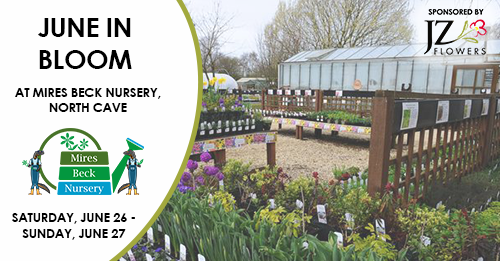 jz_flowers's tweet image. We are excited to be sponsoring this year’s June In Bloom taking place at @MiresBeck on Saturday, June 26th- Sunday, June 27th. To find out more, visit lnkd.in/d_-BTuk. 

#charity #community #familyday #fundraiser #volunteering #Hull #eastyorkshire #Eastriding