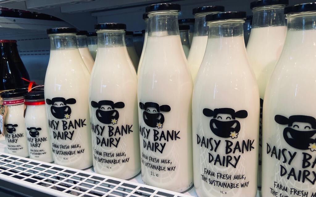 Happy #worldmilkday2021 Join us at Rhug in supporting local dairy farmers, especially organic dairy farmers, not just today on World Milk Day, but every day. Enjoy a glass today 🥛 We stock the full range of @BankDairy organic milk and flavoured milks in our Farm Shop.