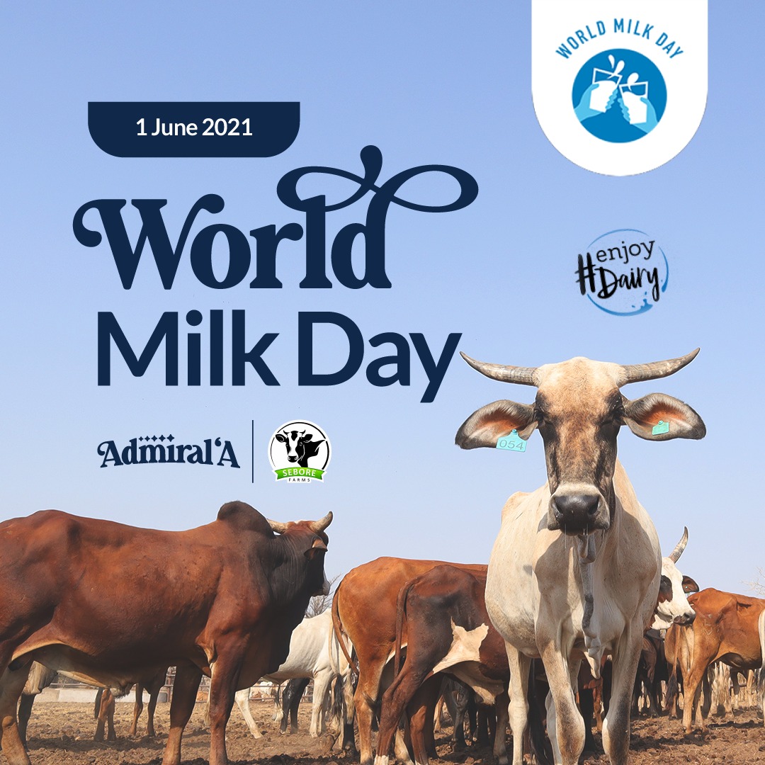SeboreGroup's tweet photo. On this day we celebrate our dairy farmers and host communities who provide high quality milk for our foremost product: Admiral'A Yoghurt. Happy World Milk Day! #WorldMilkDay #EnjoyDairy #AdmiralA https://t.co/NuQgfRS3OI