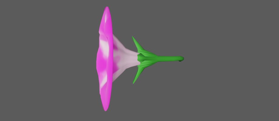 Yagara3dfree 赤色の朝顔 色んな用途に使える 3dフリー素材です 見てね 3dcg Blender Blender3d Maya Zbrush Vrchat Cluster Vr Ar フリー素材 Unity3d Unity Booth 動画 漫画素材 3d 3d素材 d Vroid Mmd 3dart Blender初心者 Yagara3dfree 赤色の朝顔 色んな用途に使える 3dフリー素材です 見てね 3dcg Blender Blender3d Maya Zbrush Vrchat Cluster Vr Ar フリー素材 Unity3d Unity Booth 動画 漫画素材 3d 3d素材 d Vroid Mmd 3dart Blender初心者