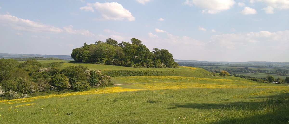 VCHOxfordshire's tweet photo. The Iron-Age #hillfort at Castle Hill (#Wittenham Clumps) in perfect Bank Holiday light. A smaller Bronze-Age enclosure preceded the hillfort, which was used for burials in the Roman period. See @oatweet's excellent monograph Castle Hill and Its Landscape (Tim Allen et al 2010) https://t.co/3DcTFJtThj