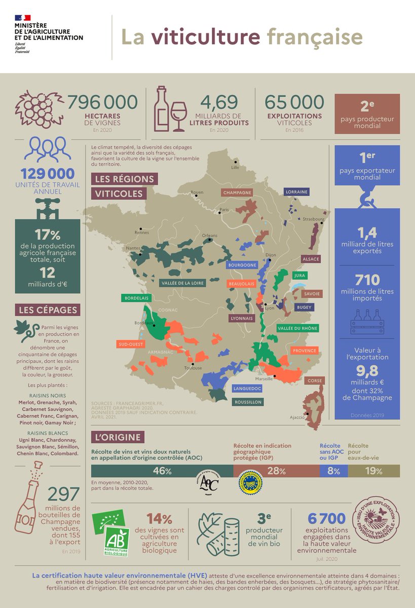 a_roux84's tweet photo. 🍇 Une belle #infographie pour mettre en avant la #viticulture  française :
👍 4,69 milliards de litres produits,
👍 2ème producteur mondial,
👍 1er pays exportateur mondial.

#vigne #agriculture #vin https://t.co/RMOo32rvkB