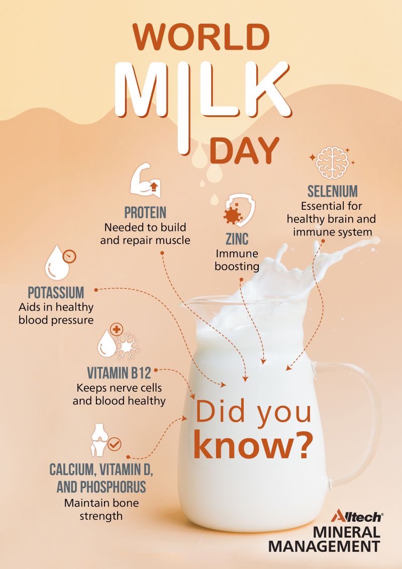 BethIntouch's tweet image. #WorldMilkDay