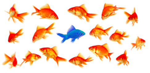 Dr Megel R. Barker FIMA tweet media