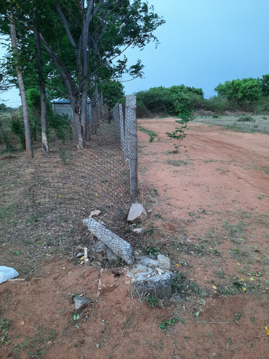 mmali77's tweet photo. I am an NRI. Theft Burglary Bootlegging  has become a repetitive criminal  activity at my premises. Huge Losses Multiple Times at Ippalapally village Mandal Keshampet @pskeshampet_cyb @cpcybd Complaint logged https://t.co/9IUrUYgonx