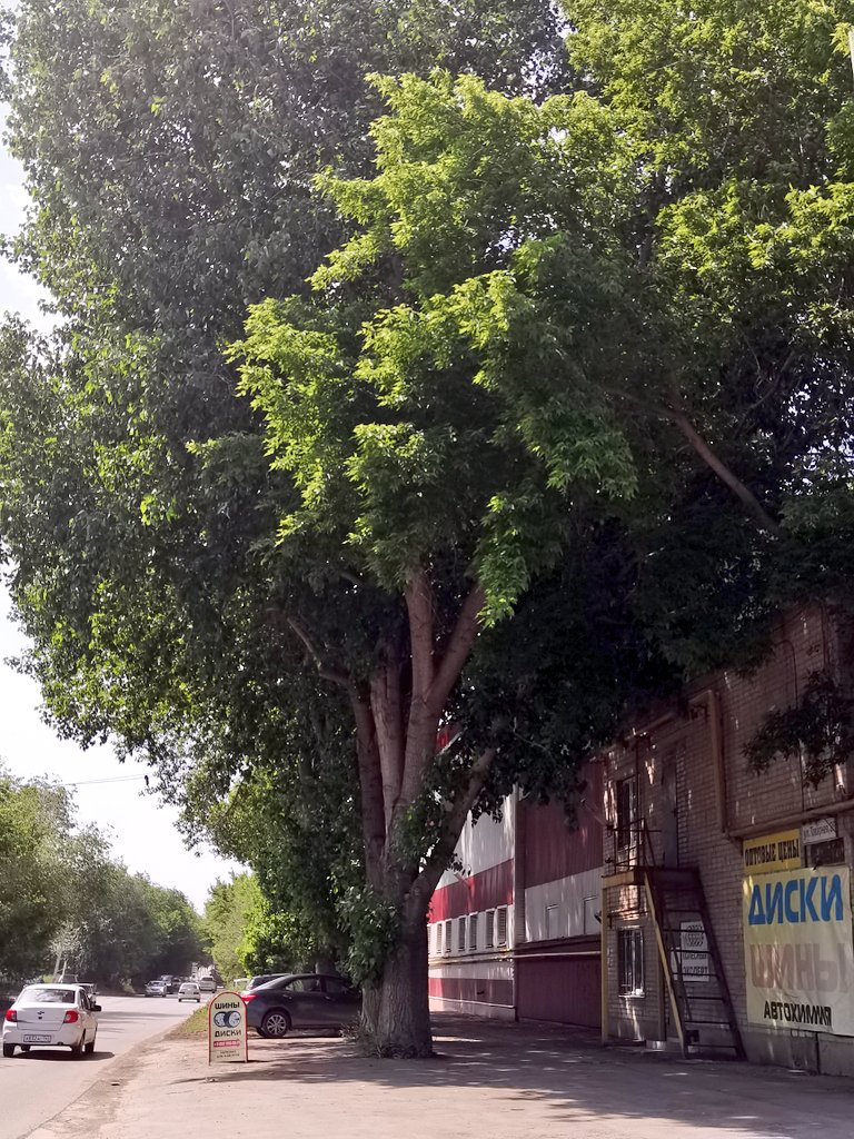 Кондыкер Тлиужанович Симбаев tweet media