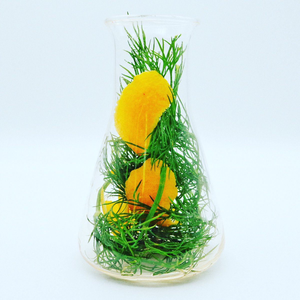 botanic_john's tweet photo. This Summers colours are in!
Yellow & Green
Our exceptional G&T serve plays upon the science of flavour and aroma. And we can’t name a more iconic pair than DILL & LEMON
#gin #ginandtonic #heroserve #perfectserve #perfectgandt #gindrinkers https://t.co/srkvDjj1lK