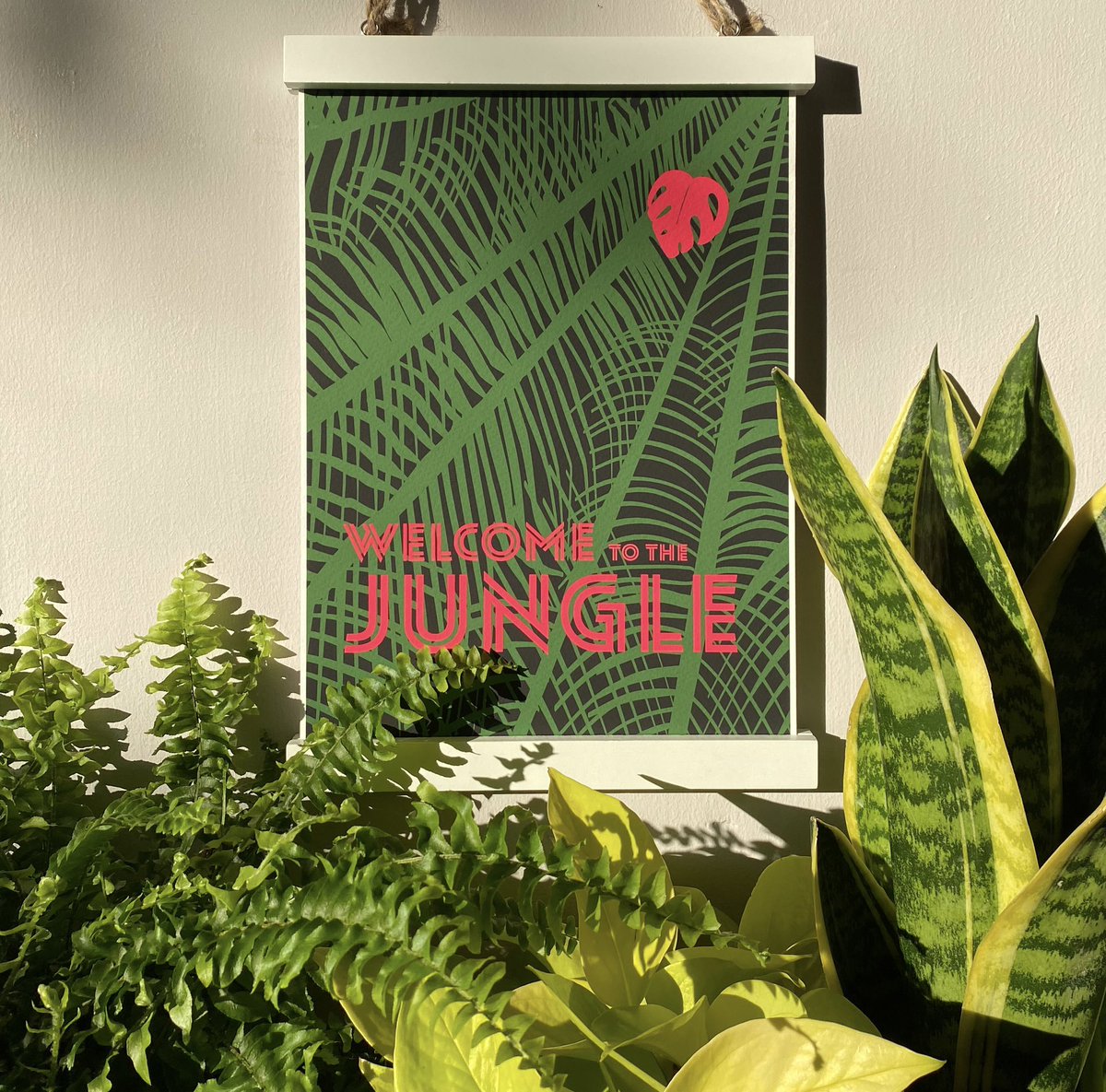 It’s the 1st of June! We have a new print out today and we’re trialling a different style of frame.. What do you think? #plantaddict #TuesdayFeeling #newprint #etsysmallbusiness