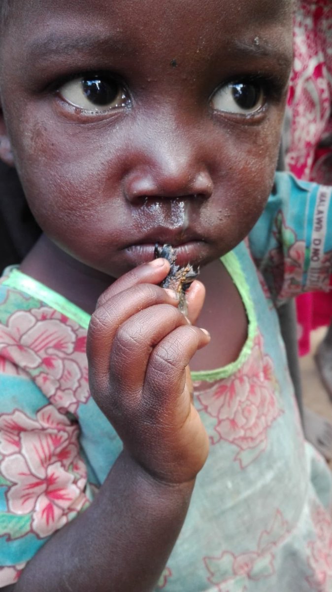 Na MDD 1.6. obvykle myslíme na vlastní potomky. Zkusme si ale vzpomenout i na ty děti, které se narodily v nejchudších zemích světa a za svůj osud nemohou. Bez šance na zdravotní péči, na vzdělání, na kvalitní jídlo... A jak jim pomoci. Foto z mise v Africe ... ano, je to myš