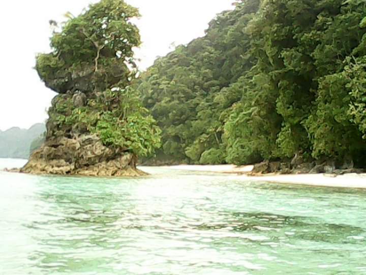 WilsKait's tweet photo. Planning to visit my beautiful beach to check whether it safe to use or oilspill pollution still a threat to our health and our livelihood. https://t.co/I0scHqoGwv