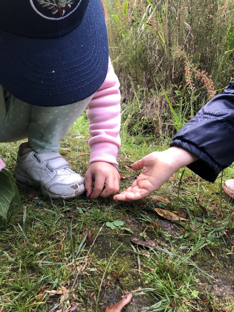 Are you aware of the most peaceful nature reserve right here in town, and right next to Oakhill? Our Grade Rs were treated to an outing to this special place last week! There were many opportunities to touch, smell and listen to the sounds of nature. #oakhillza #thejoyoflearning