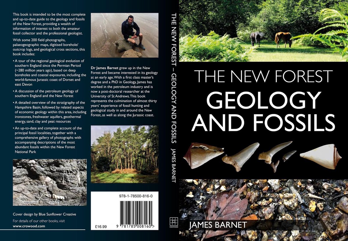 It may feel warm outside today but not as warm as it would have felt across southern Britain 40 million years ago during the Eocene... Learn about changing environments of the past and the fossil evidence in my book! @TheNewForestUK @NewForestNPA @RingwoodGeology @OceanEarthUoS