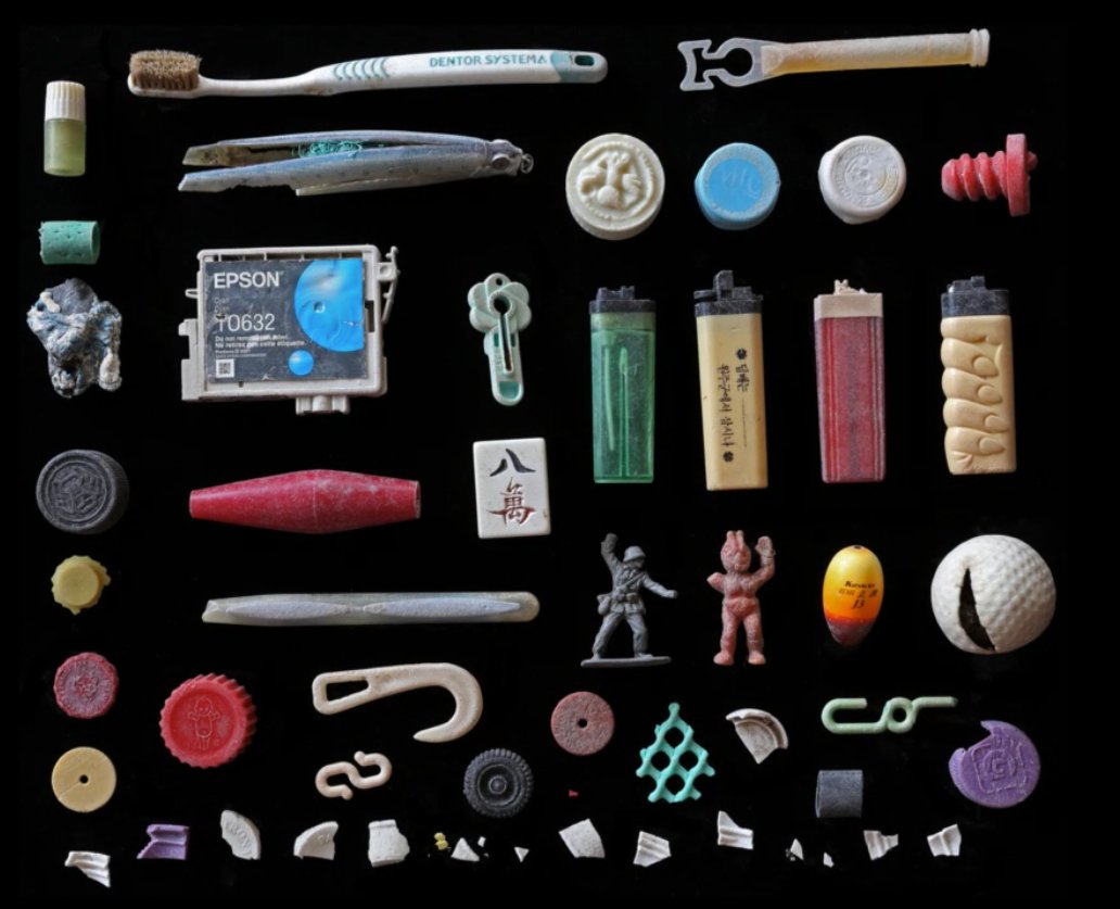 COFARM_ERASMUS's tweet photo. "My vision is to stop plastic pollution entering the sea" - Mandy Barker of @plasticpieces shedding light on plastic pollution in our seas

#Plasticpollution is one of the many #globalchallenges of our century. 

Only together, can we tackle it.

#EUGreenWeek2021 #ZeroPollution https://t.co/PKM0hrXhaX
