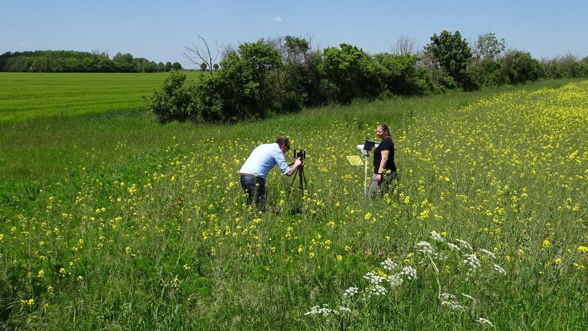 landnetz's tweet photo. Vorbereitungen für den #digital Feldtag am #LVGKöllitsch: aktuell finden erste Filmaufnahmen zu den Erprobungen im #Experimentierfeld @landnetz statt.@bmel #Digitalisierung #Landwirtschaft https://t.co/FPnqCzTnAL