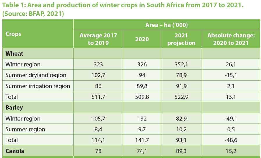 BFAP expects a sharp reduction in barley plantings in 2021 - with a shift to canola and wheat. <a href="/divanvdw/">Divan van der Westhuizen</a> and <a href="/tracydavids11/">Tracy Davids</a> share some thoughts on the reasons driving this change in the June edition of Oilseed Focus (Pg 19). More at bfap.co.za/area-shifts-ex…