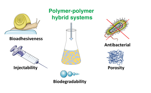 Preprints_org's tweet photo. Bio-Inspired Polymer-Polymer Hybrids for Medical Applications https://t.co/6bplRMekxV #MatSciPreprints #PreprintsOrg https://t.co/JC0SCIYqjO