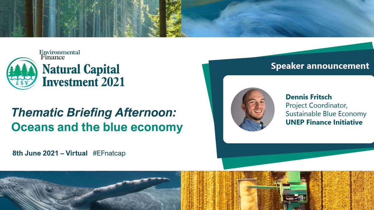 How can more #investment be driven towards the #BlueEconomy and coastal resilience? Join UNEP FI Sustainable Blue Economy Project Coordinator, Dennis Fritsch, at the #Ocean and #BlueEconomy briefing afternoon on #UNWorldOceansDay to learn more: bit.ly/3ujZuPE #EFnatcap