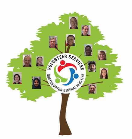 UHNVolunteers's tweet photo. Day 1 of #VolunteersWeek2021
Our #VolunteerServices has #Grown from strength to strength.
We wouldn’t be able to say that if it wasn’t for the excellent team of #Volunteers
We just want to say #ThanksForGrowingWithUs https://t.co/VSrQnbOkpP
