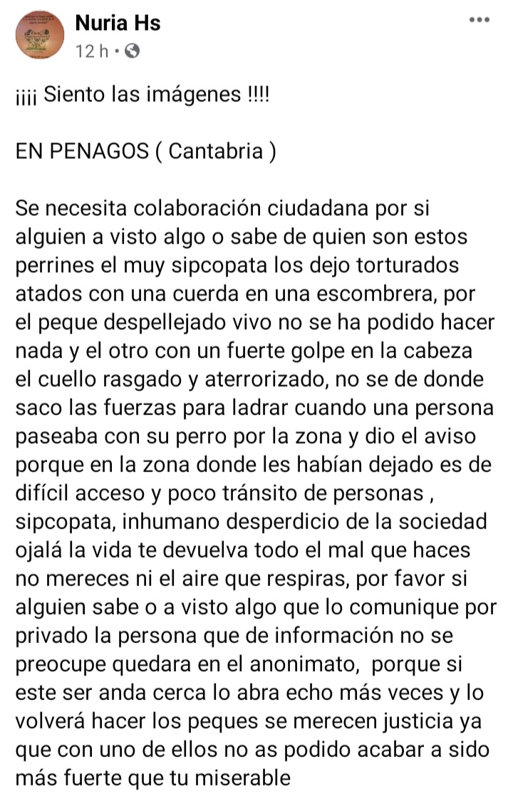 Andrea94748955's tweet photo. Penagos , Cantabria. Dos perritos han aparecido torturados. Uno de ellos ha sido despellejado vivo. El otro presenta un fuerte golpe en la cabeza, pero está a salvo.
Se necesita colaboración ciudadana, para localizar a este psicópata asesino. 
#prisiónmaltratoanimal https://t.co/kp9VGlwmuO