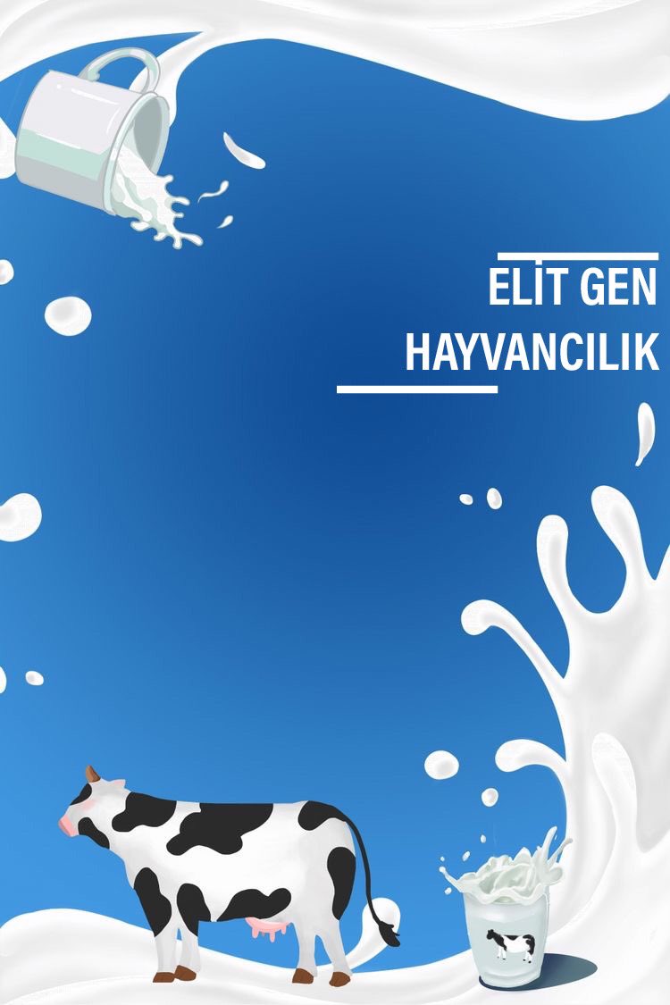 #WorldMilkDay 🐮🥛🤍