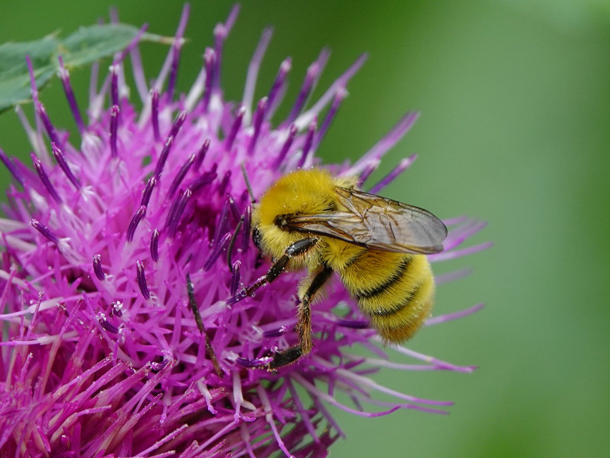 ライポン Buscar No Twitter Twitter