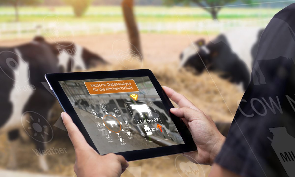 TRAPO_AG's tweet photo. Weltmilchtag – und wir sind Partner der Milchwirtschaft! In der Milchindustrie 4.0 sind moderne Datenmanagementsysteme wie TIM ein entscheidender Faktor für Prozesseffizienz, Top-Qualität und Wachstum.

#Weltmilchtag

https://t.co/Rf0QK98DDe https://t.co/N4teJvDQOo