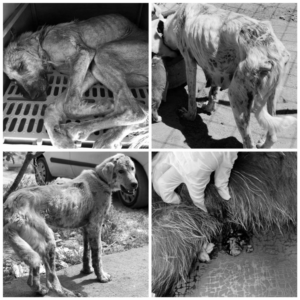 OnNumara tweet media