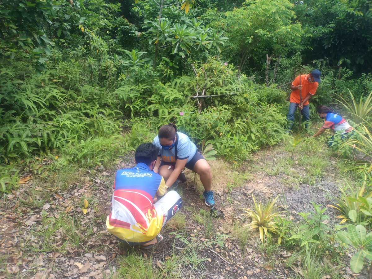 pandanpolice's tweet photo. Pandan PNP together with the KKDAT and barangay officials of barangay Fragante, Pandan, Antique conducted tree planting activity at Sitio Sabay of the said barangay as one of the initiatives of PNP. https://t.co/axNwyWK2X0