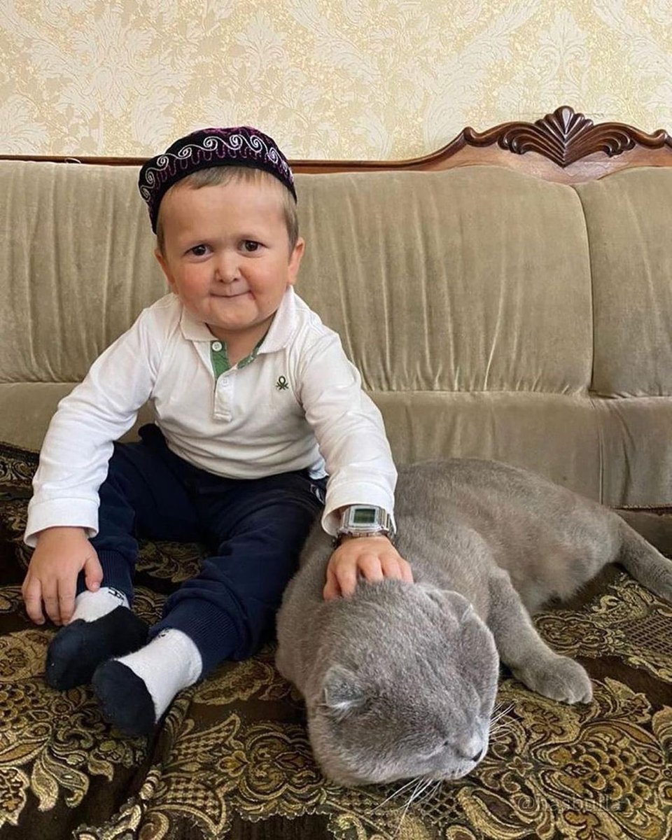 donitbaba's tweet photo. nqofse seboj ni qesi djali metsha steril https://t.co/dKi6tjU0Cu