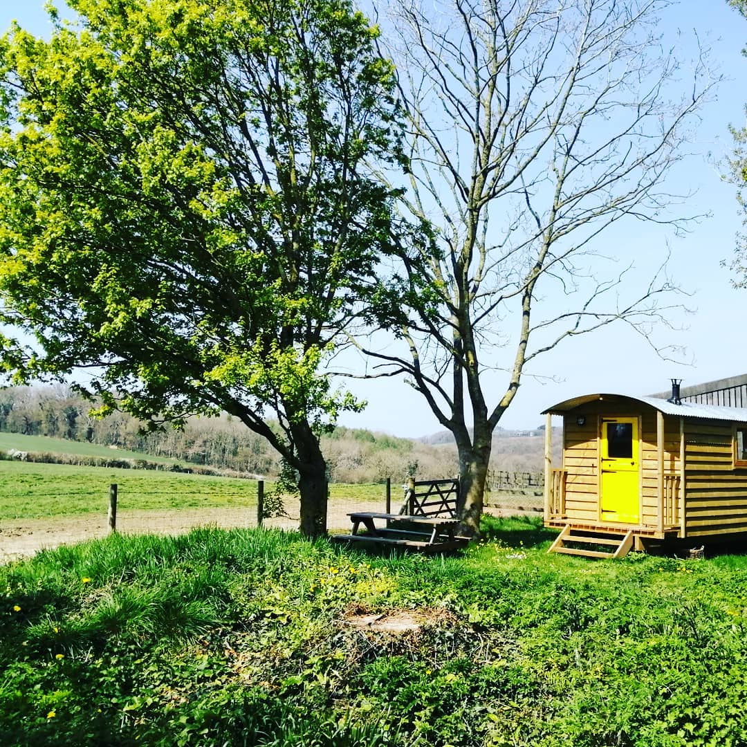 Iamsomanythings's tweet photo. The Good Shepherd's Hut is now available for bookings! An amazing opportunity to get off grid and away with God and nature 💛

Located near Templecombe - to find out more about coming to stay in our cosy shepherd's hut > https://t.co/xQchHOMdAD

#IAmSoManyThings #GoodShepherdsHut https://t.co/YIoMNYUnI9