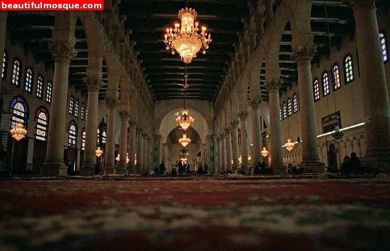 الصلاة
تجعل الانسان أكثر تحكما في انفعالاته ، قال تعالى : ﴿إن الانسان خلق هلوعا إذا مسه الشر جزوعا وإذا مسه الخير منوعا إلا المصلين﴾
#ahmedgalal2007