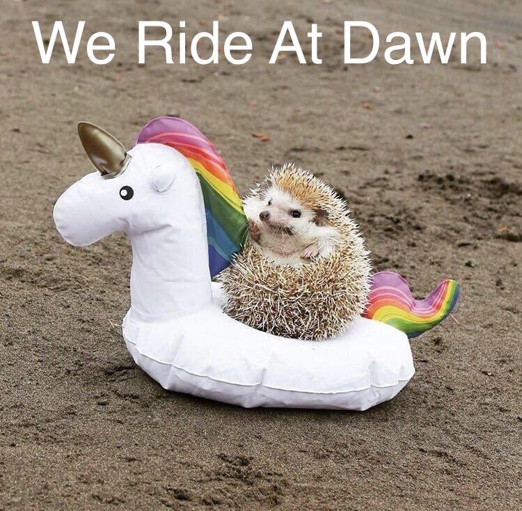 LgbtShippers's tweet photo. Gays at 11.59 on May 31st. 

#HappyPrideMonth2021 #Pride2021 https://t.co/yP9NYbqYJU