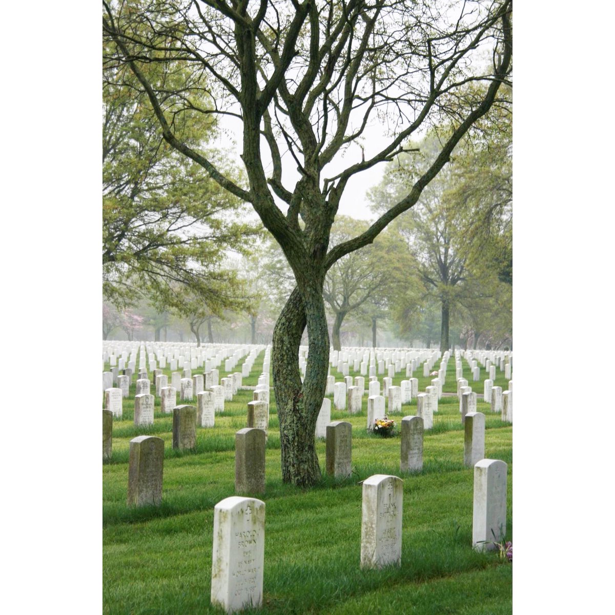 ZFPhotography's tweet photo. Remember and honor. 
🇺🇸🇺🇸🇺🇸

#ZFPhoto #RememberAndHonor #MDW21 #LINationalCemetery https://t.co/UQOuWUXmk4