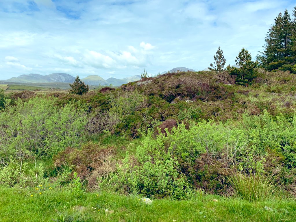 JCWLGeopark's tweet photo. Good luck to everyone opening up tomorrow Fáilte ar ais #jcwlgeopark @MayoDotIE @DiscoverGalway2 @DiscoverGalway2 @poloconghaile https://t.co/odoYe8pHTg