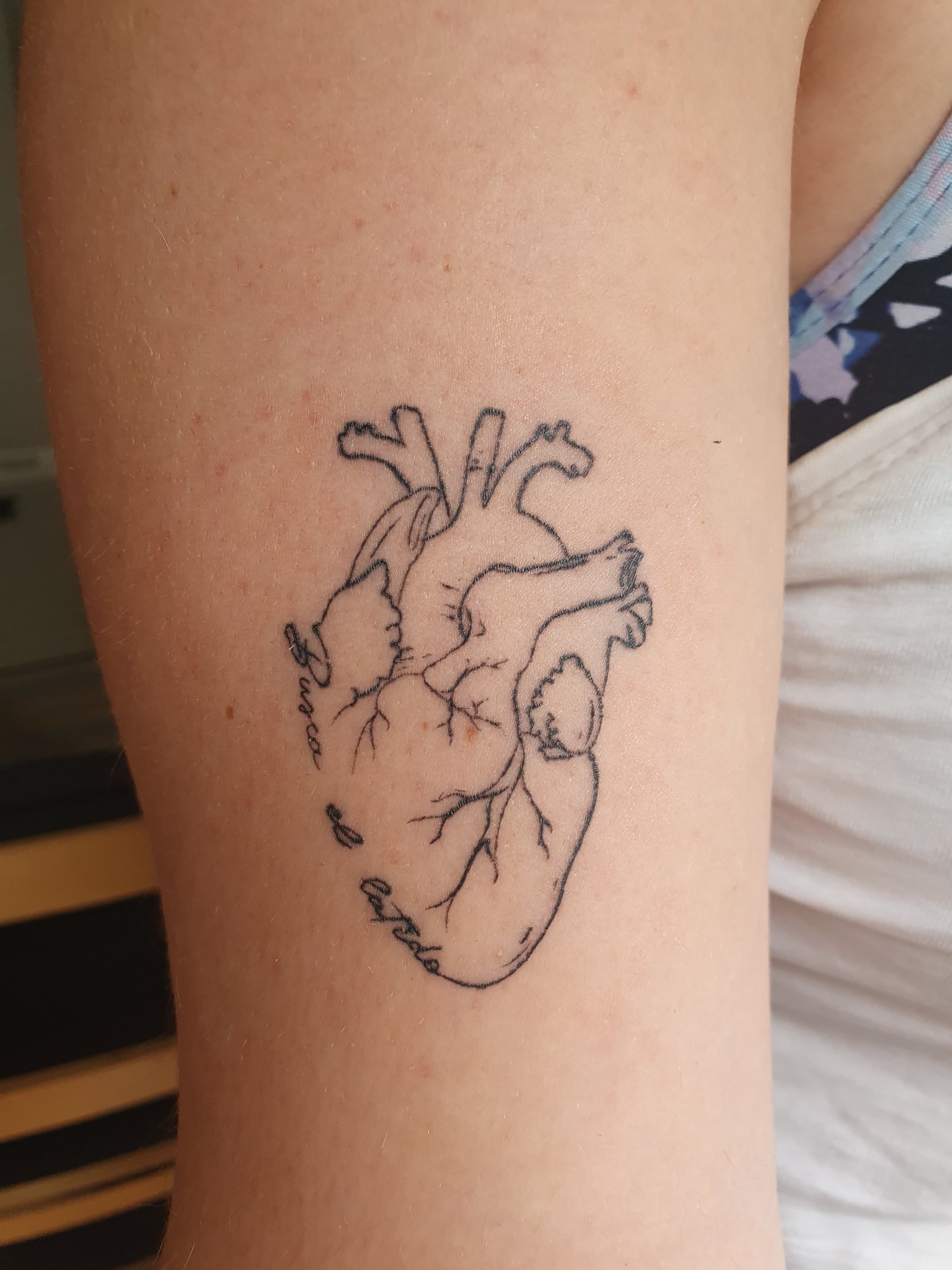 Pau on X: "El otro día decidí hacerme este tatuaje, y fue amor a primera vista. Lleva una frase que para mí expresa una forma de entender la vida y mi pasión:
