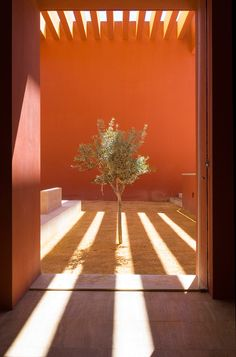 Trev_PI's tweet photo. Architecture is more beautiful with colour, right? https://t.co/CwWkwtIgcM