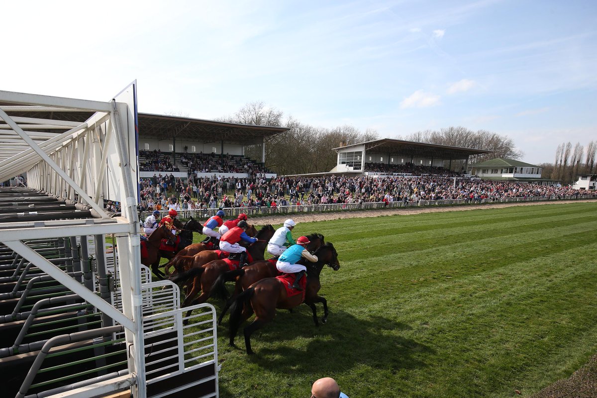 #dabeiTV tweet media