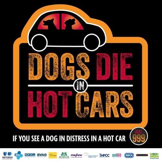 🌞 Enjoy the sun but never leave a dog in a car on a hot day. 

22 degrees can be 47 degrees inside. Leaving water and a window down is not enough #DogsDieinHotCars.
If a dog needs immediate help call 999. For advice, call 03000 999 999 #SSPCA
More here:
bit.ly/34yxv48