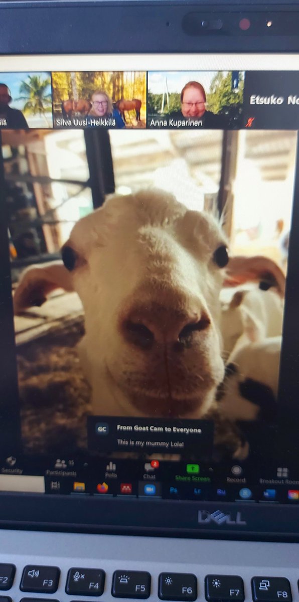 EcoEvo Aqua (@ecoevoaqua) on Twitter photo We had special guests in our research group Zoom meeting today! Meet Lulu and her mummy Lola. Have a goat summer everyone! #fishsci #AcademicChatter #phdlife #gradschool #goat <a href="/jyuscience/">Faculty of Mathematics and Science</a> <a href="/uniofjyvaskyla/">University of Jyväskylä</a> We had special guests in our research group Zoom meeting today! Meet Lulu and her mummy Lola. Have a goat summer everyone! #fishsci #AcademicChatter #phdlife #gradschool #goat <a href="/jyuscience/">Faculty of Mathematics and Science</a> <a href="/uniofjyvaskyla/">University of Jyväskylä</a>