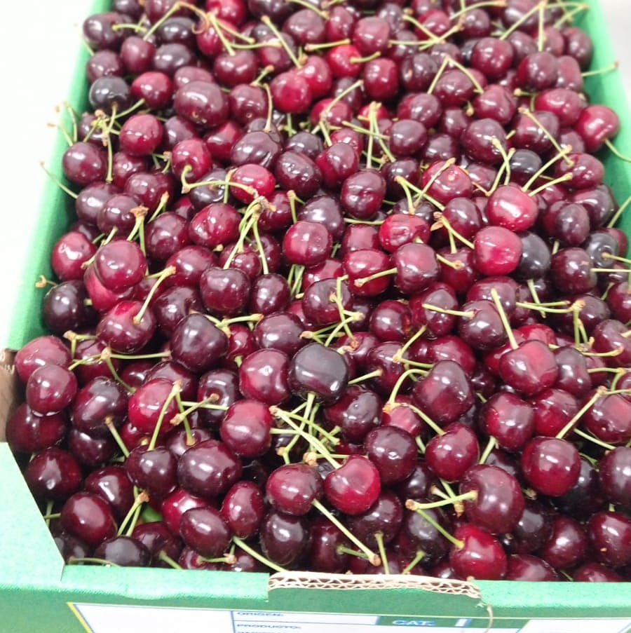 Avui, a la cuina, l'<a href="/horta_lliure/">Rai</a> ens ha portat cireres ecològiques d'Hostelets de Pierola. 🍒🍒🍒
#menjadorramoncastelltort #amparc #amparamoncastelltort  #ramoncastelltort #Igualada