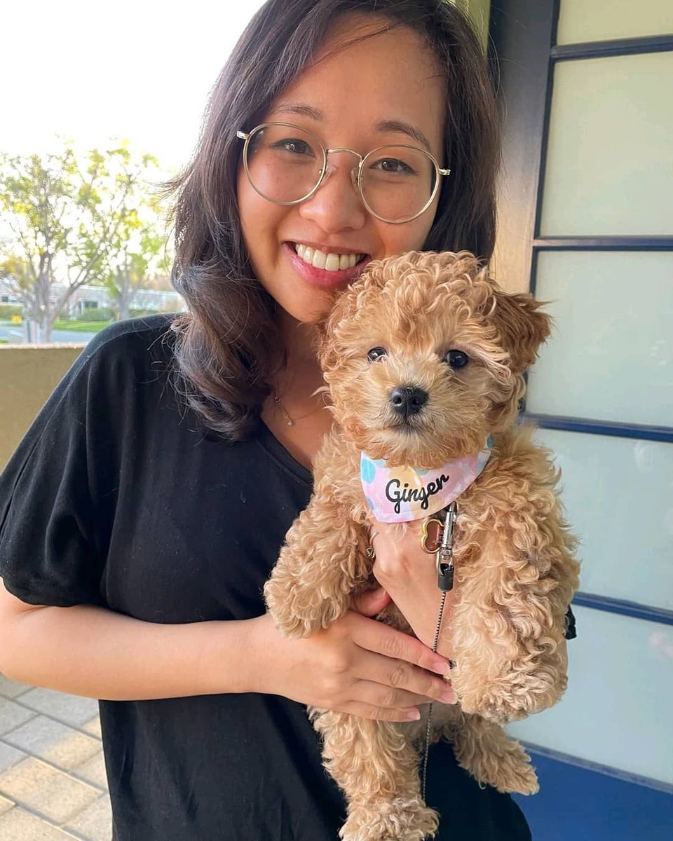 How adorable is baby Ginger wearing her new personalized bandana!? 🐶⠀
Get yours here 🛒  👉  buff.ly/2SKYhnl

#etsyshop #etsyseller #shopsmall #smallbusiness #standwithsmall #custommade #ecommerce #etsyfinds #personalizedgifts  #puppylove #poodle #furbaby #doggygifts