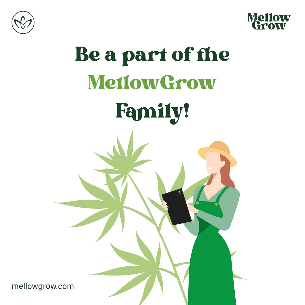 Mellow_Grow's tweet photo. #MellowGrow with #WeedCoin will be assisting in the legalization drive by contributing 1% of all sales to legalization efforts. 

Join MellowGrow and be part of the change. 

https://t.co/HAtPZcWop4

#crypto #bitcoin #cryptocurrency #blockchain #btc #cbd #hemp https://t.co/xaWPpEPI3b