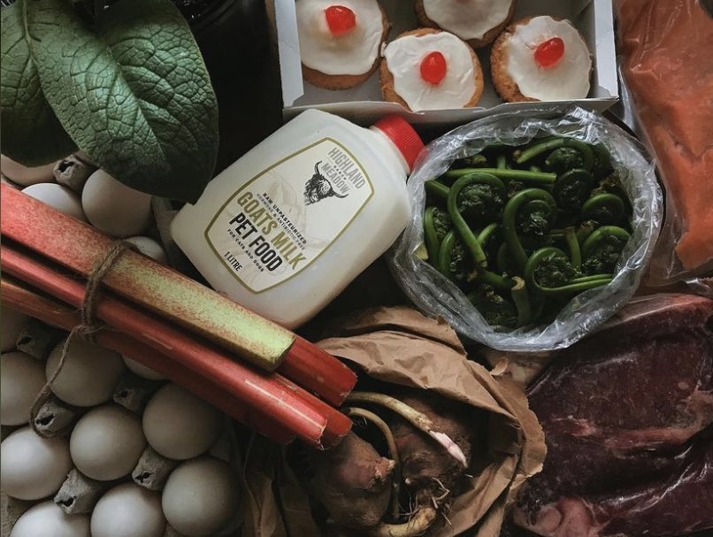 MarketFreshNS's tweet photo. Check out our farmers’ market map to find your nearest market: https://t.co/UTQAgkaK2f
📷: Moth and Moon Farm #farmersmarkets #farmersmarketsns #buylocalns #rhubarb #fiddleheads https://t.co/EqFyZ2PcCY