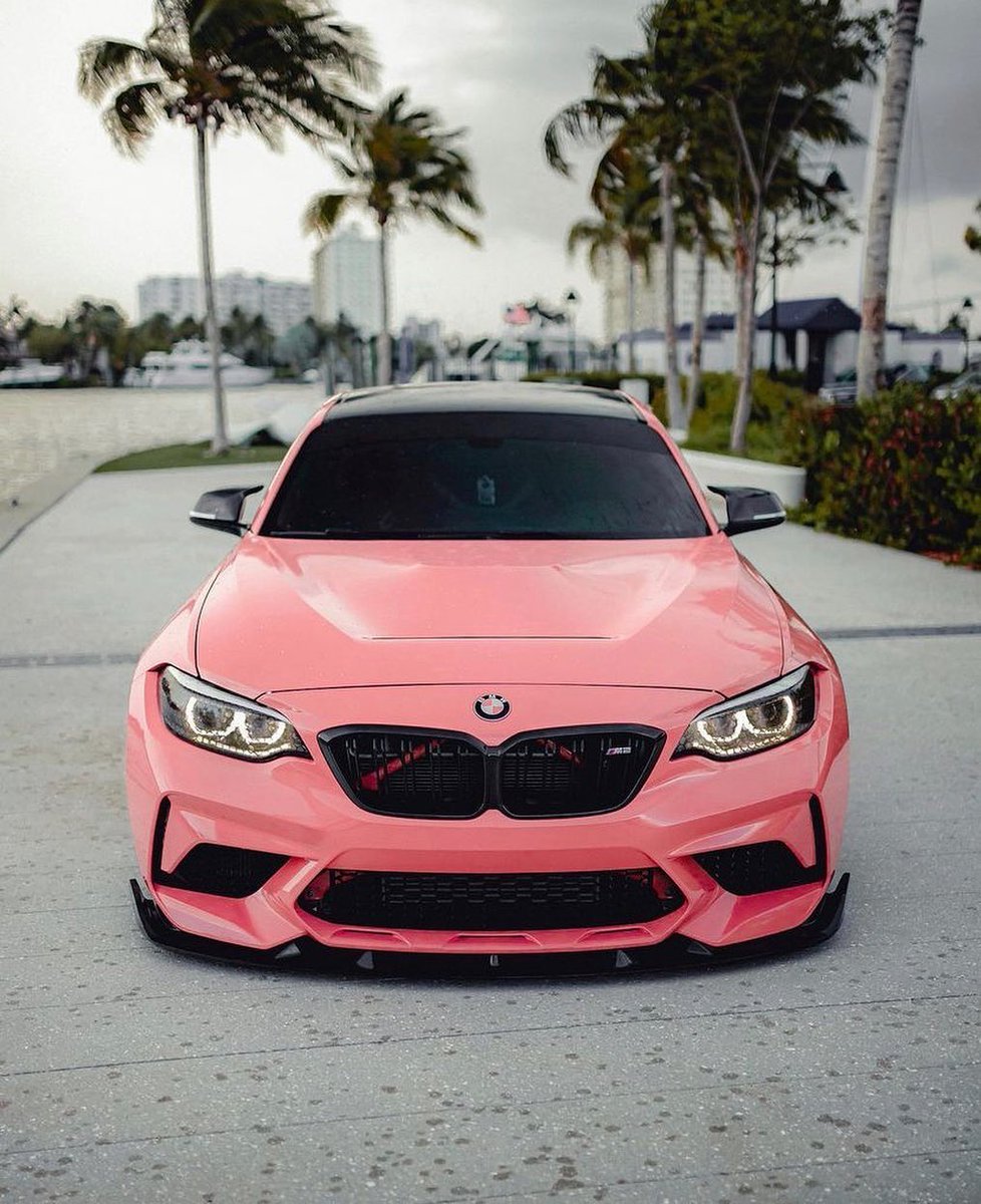DailyCarlife's tweet image. BMW M2 🌺
