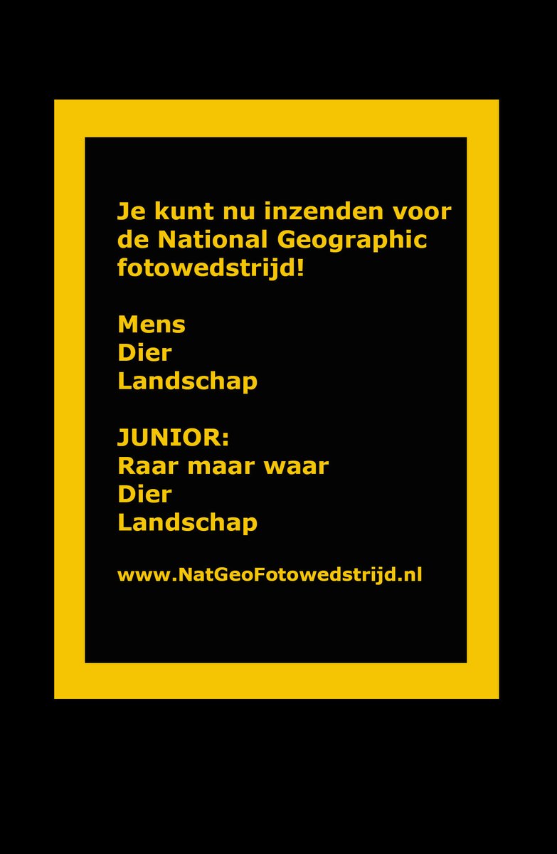 Sacha de Boer tweet media