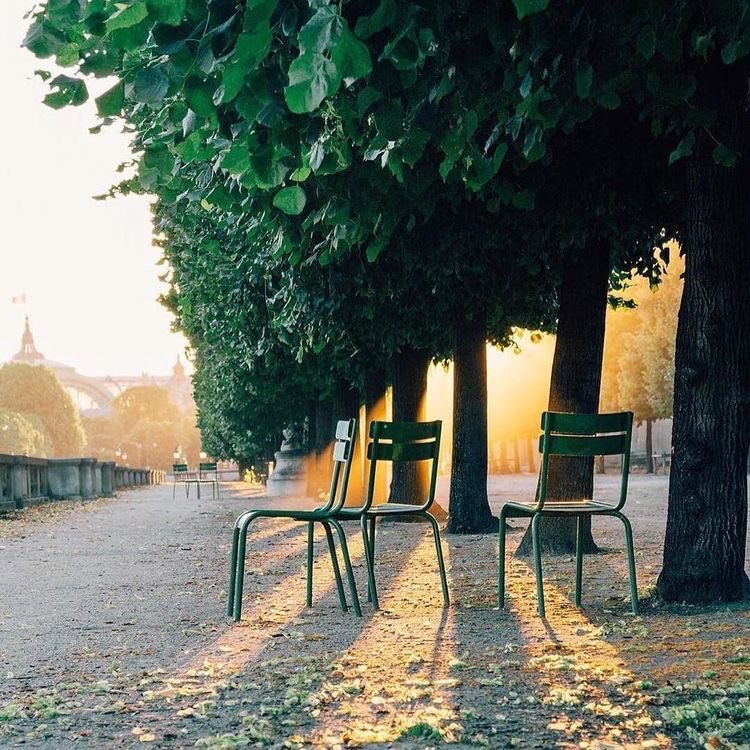 Véritable symbole du charme et du savoir vivre à la française, le #jardindestuileries à Paris, mérite une ballade à travers ses allées, ses magnifiques sculptures et fontaines. Ce tout début du mois de juin commence enfin à nous gâter ! ☀️⛲️🌼🌱