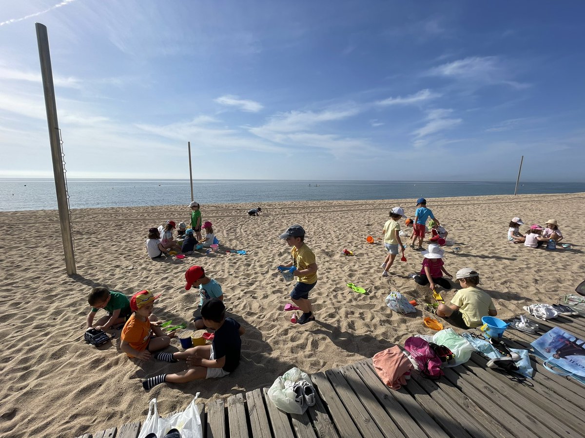 Anna Diaz tweet media