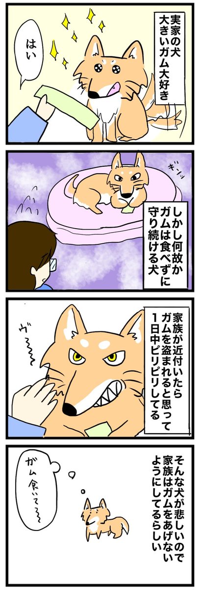 昨日妹から聞いた犬の近況。なぜか大きいガムのときだけこうなるらしい。 